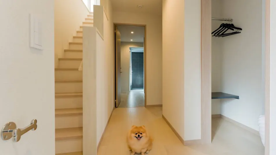 Rakuten STAY VILLA Yatsugatake
