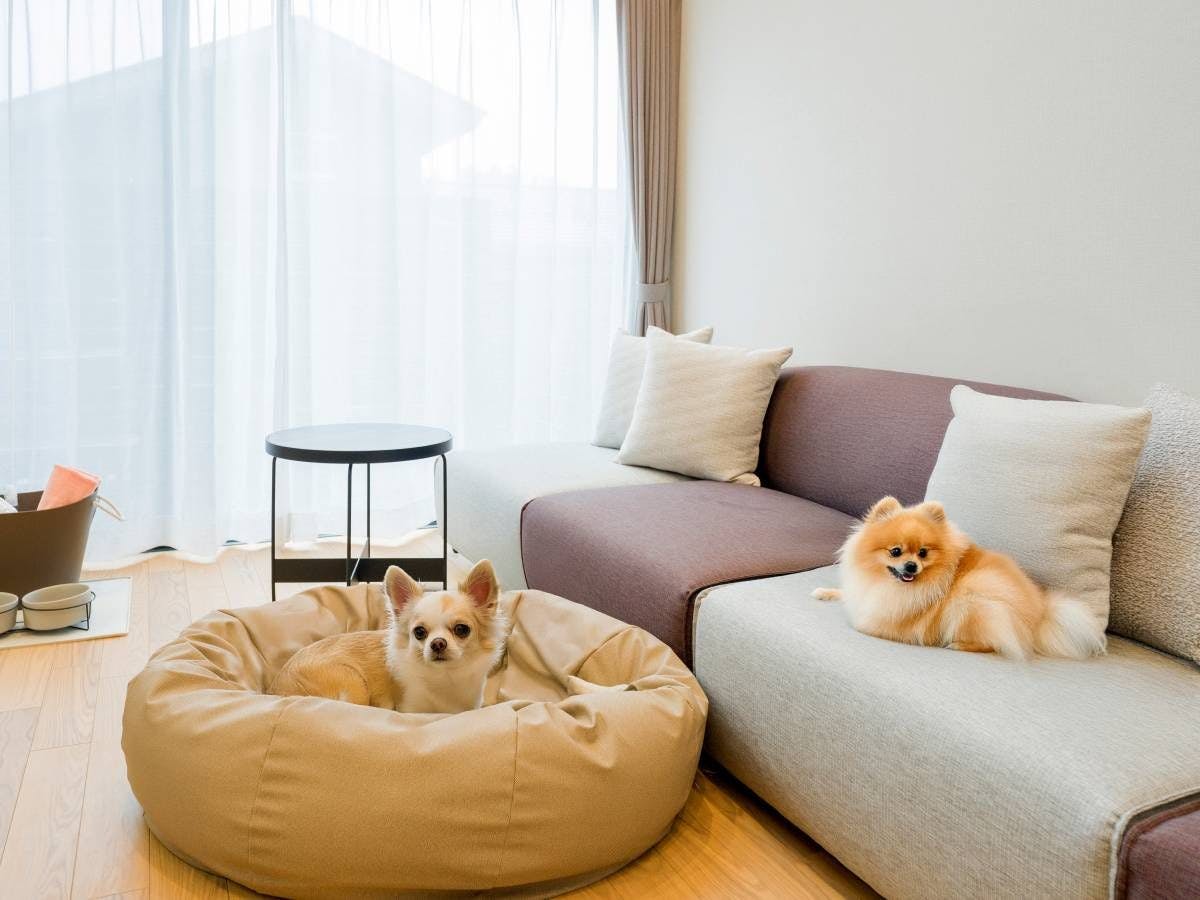 Rakuten STAY VILLA 八ヶ岳