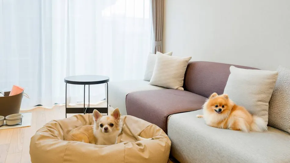 Rakuten STAY VILLA Yatsugatake