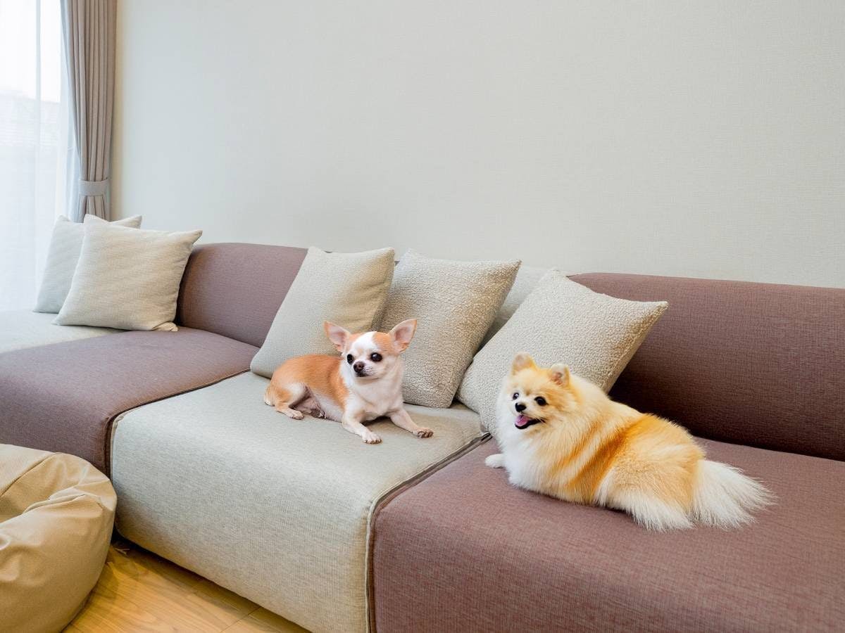 Rakuten STAY VILLA 八ヶ岳