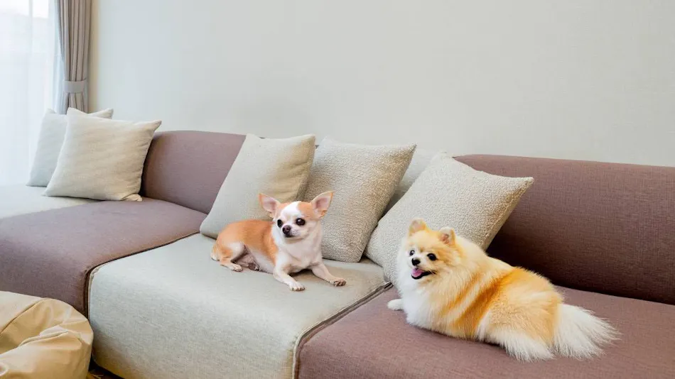 Rakuten STAY VILLA Yatsugatake