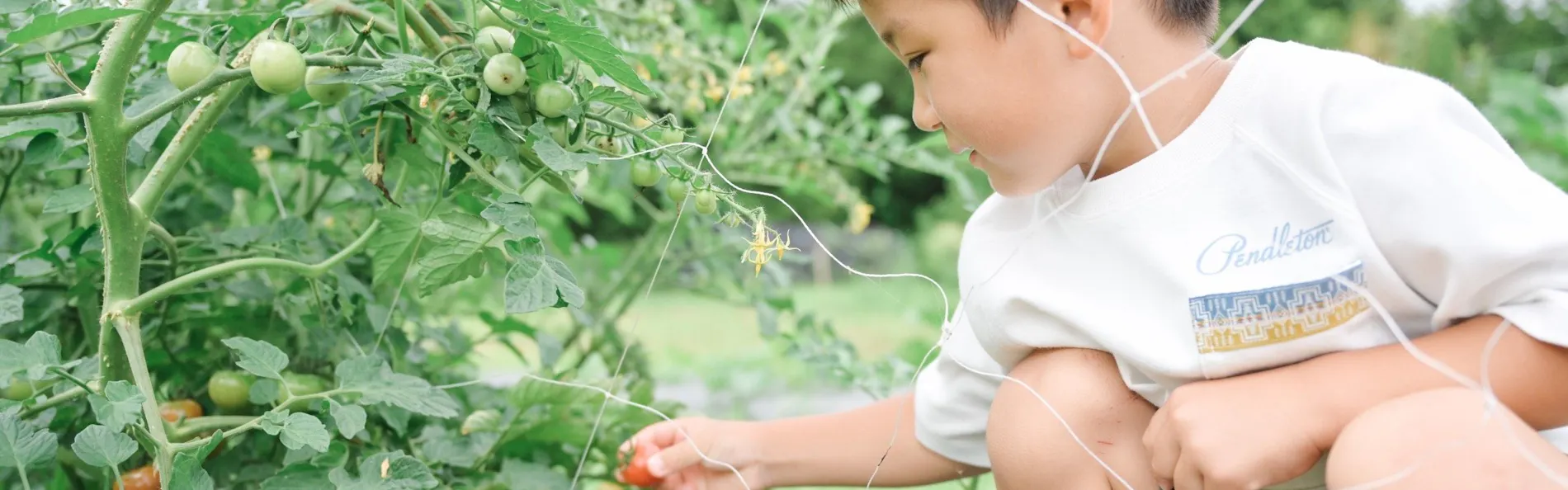Agriturismo YUTAKA(アグリツーリズモ ユタカ)