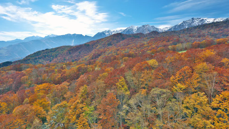 SANU 2nd Home Hakuba 1st