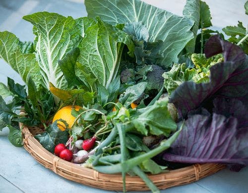 地元東京産の新鮮野菜。※写真はイメージ
