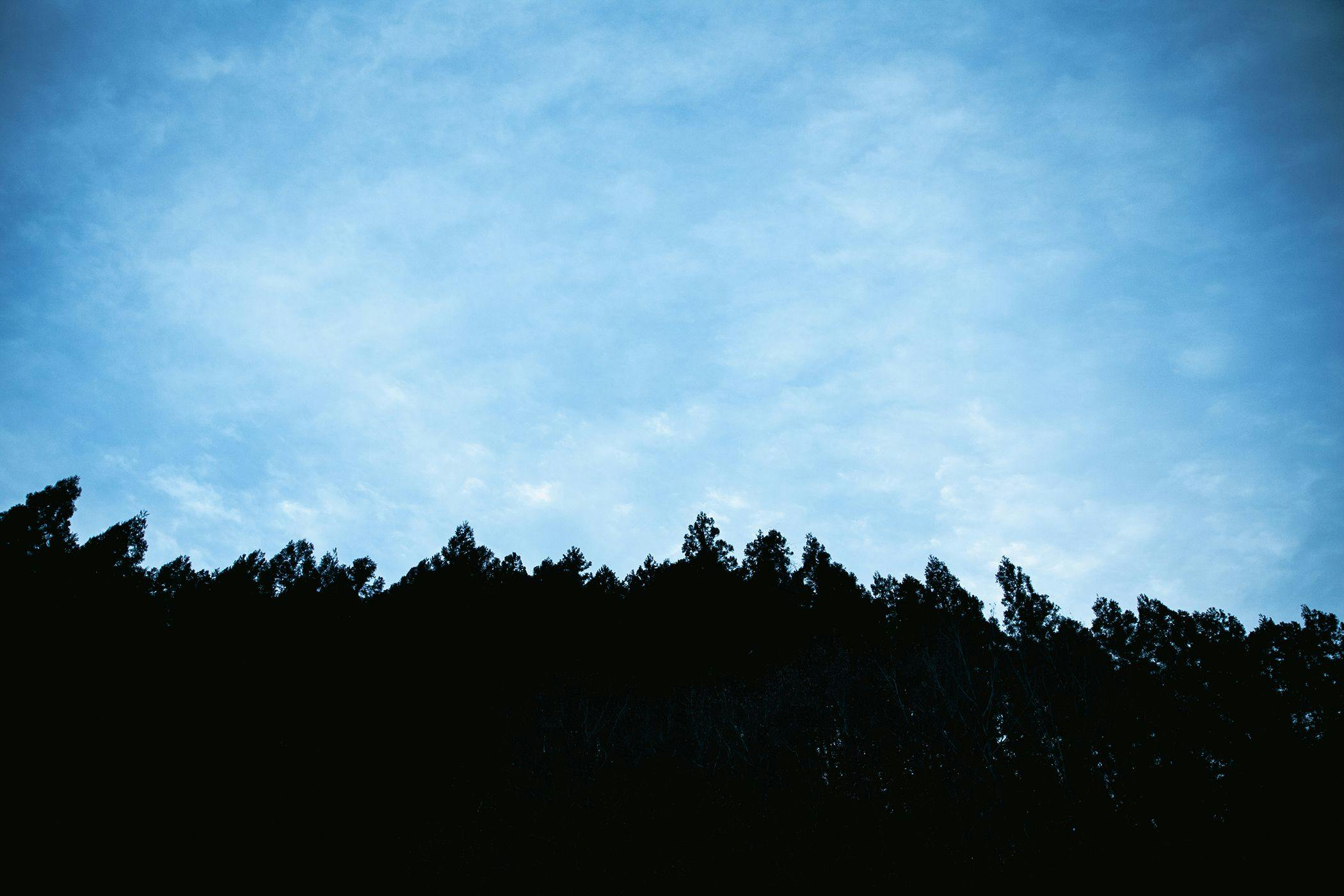 올려다보면 산의 능선이 이어집니다