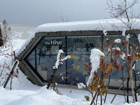 The Hive 施設全景