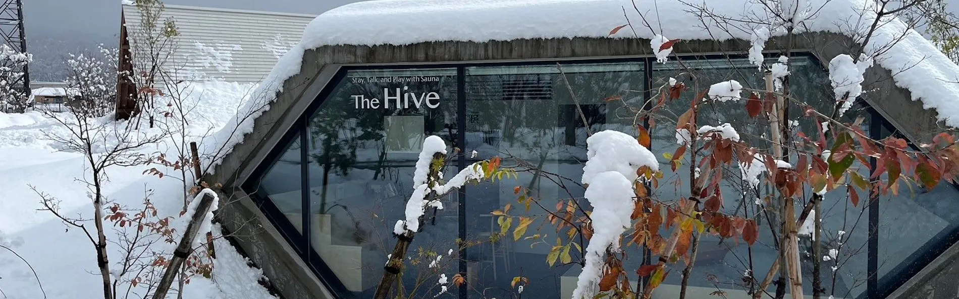 The Hive