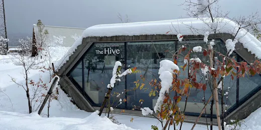 The Hive