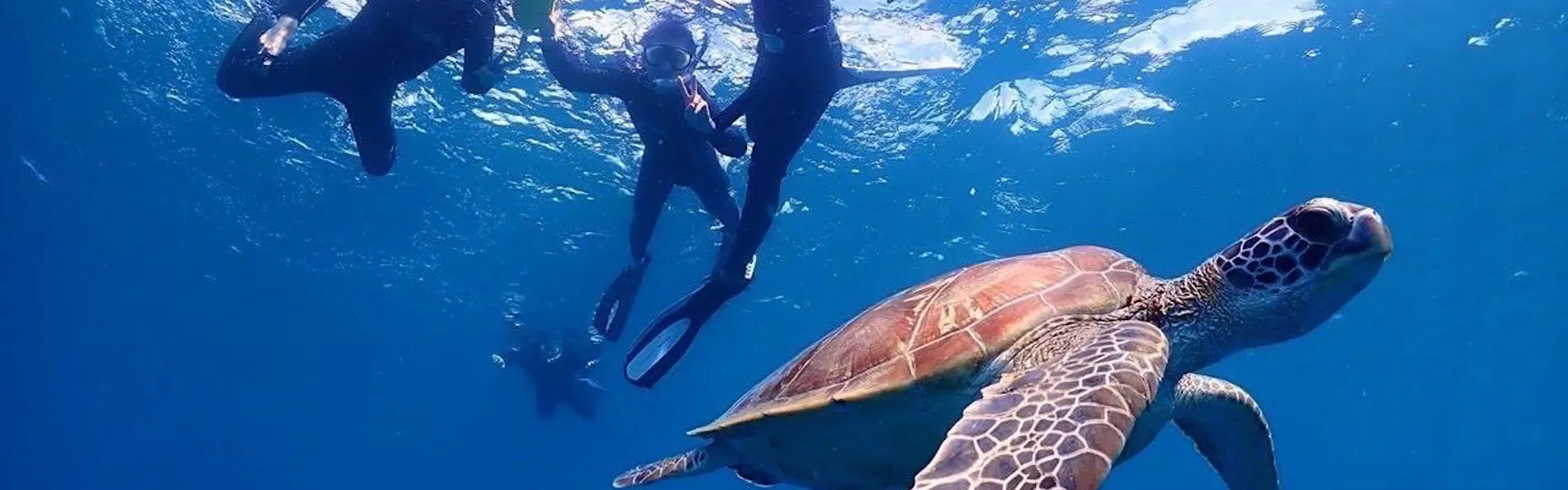 極海静邸