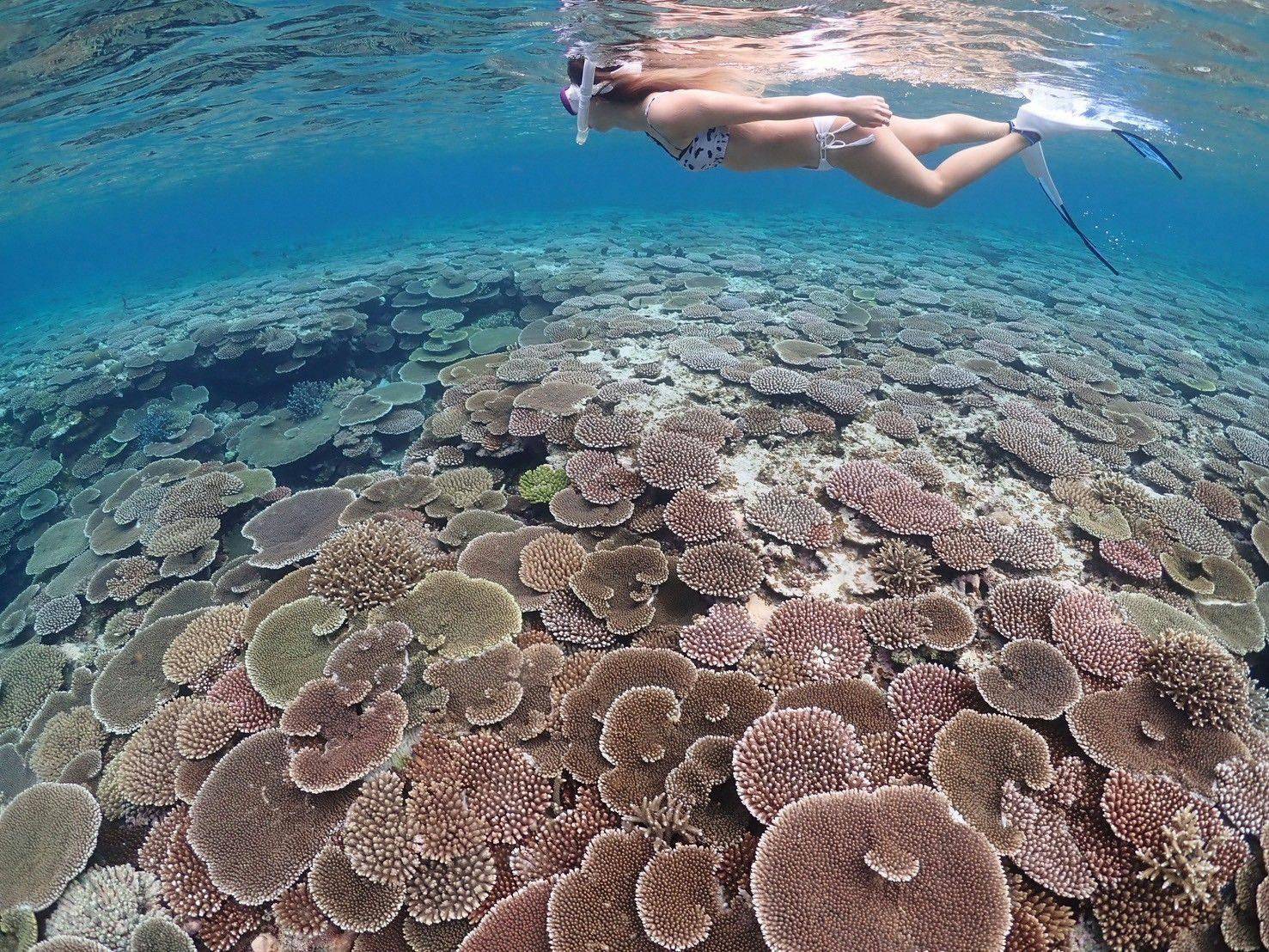 極海静邸