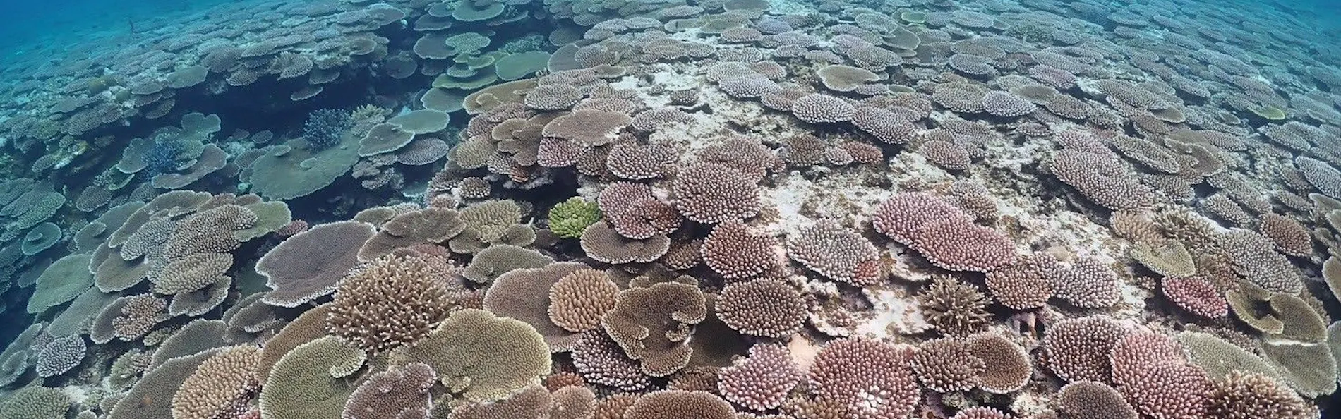 極海静邸