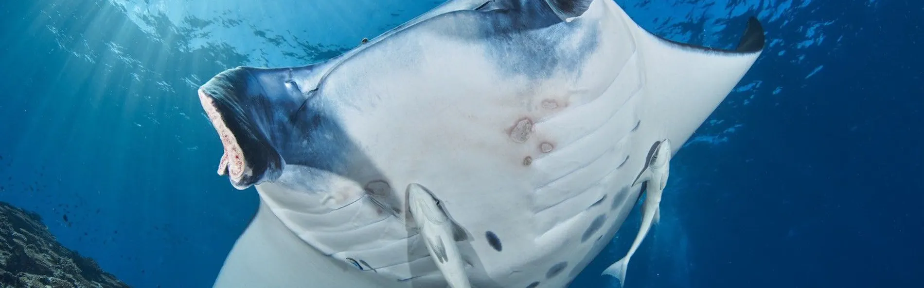 極海静邸