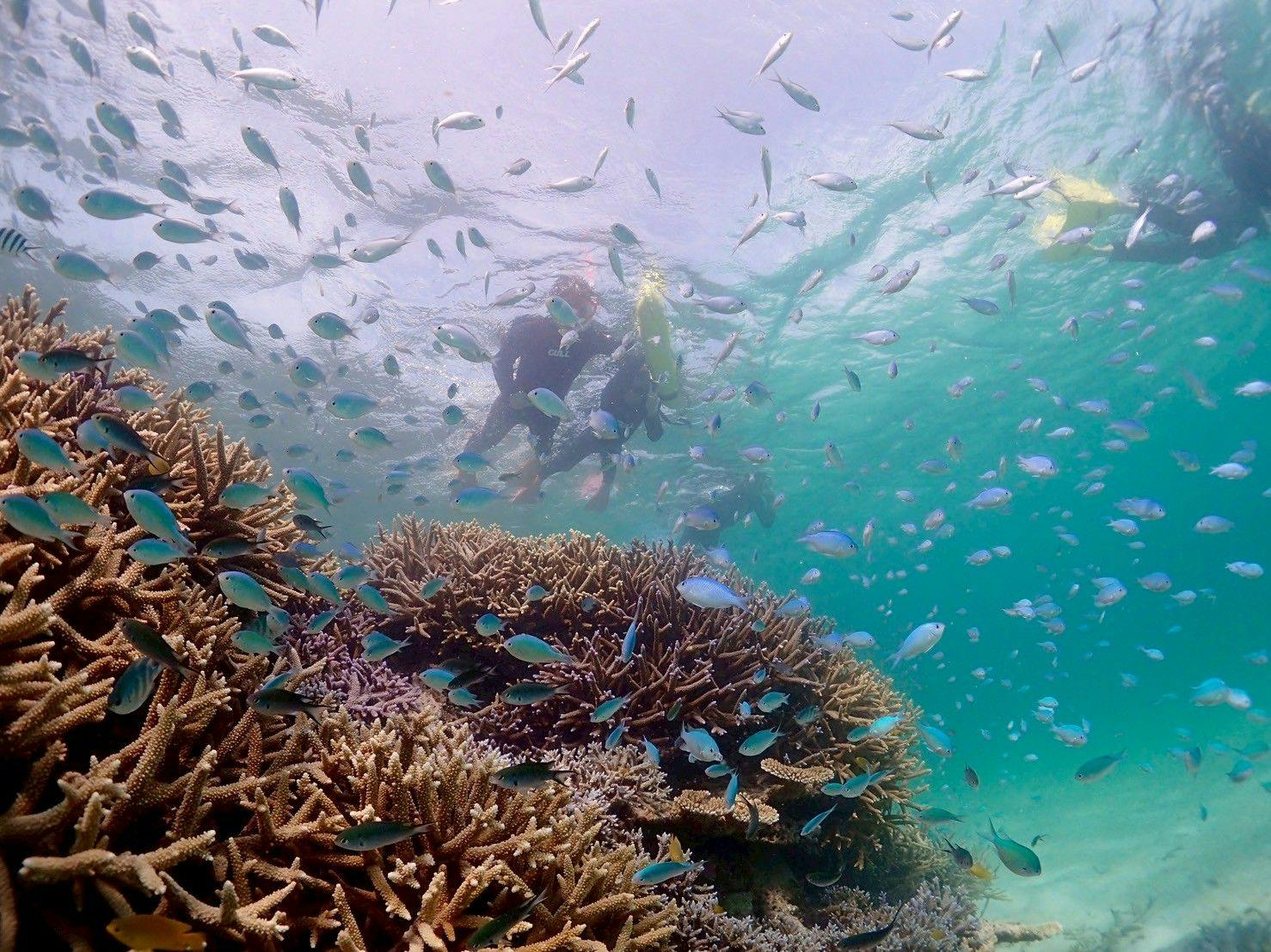 極海静邸