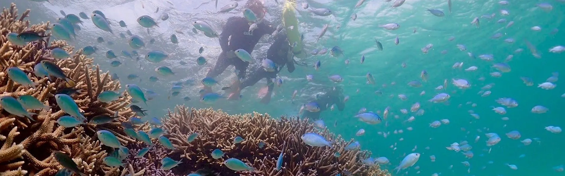 極海静邸