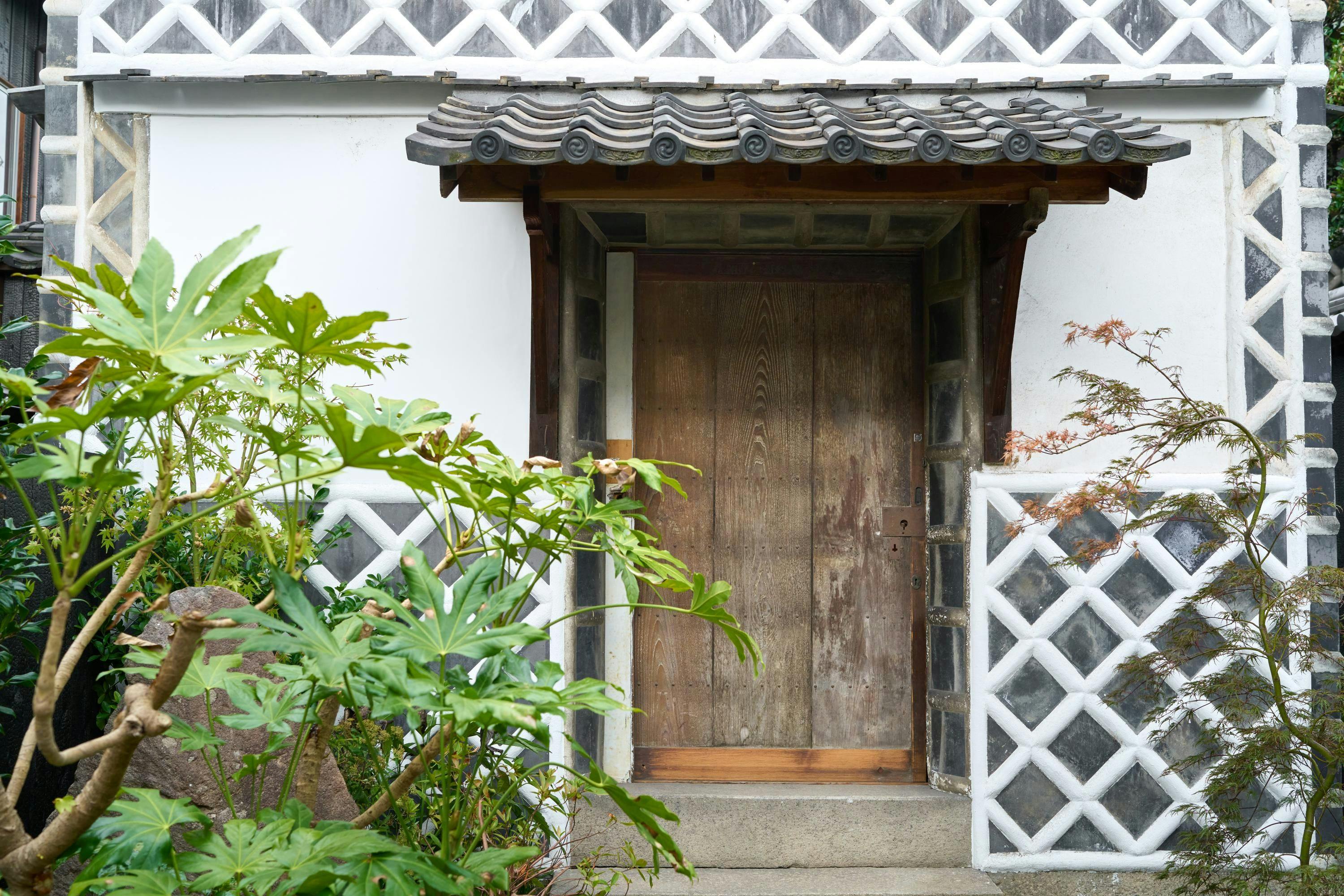 泊葉-HAKUHA-