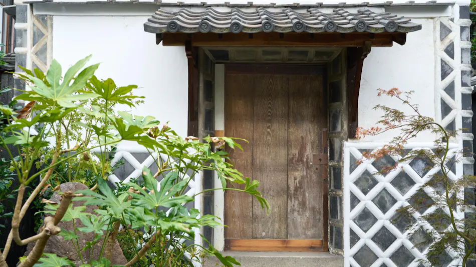 HAKUHA