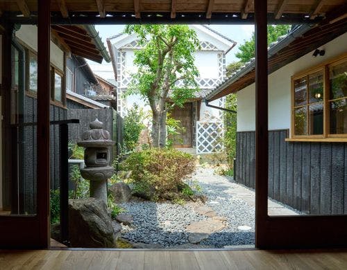 庭の景色