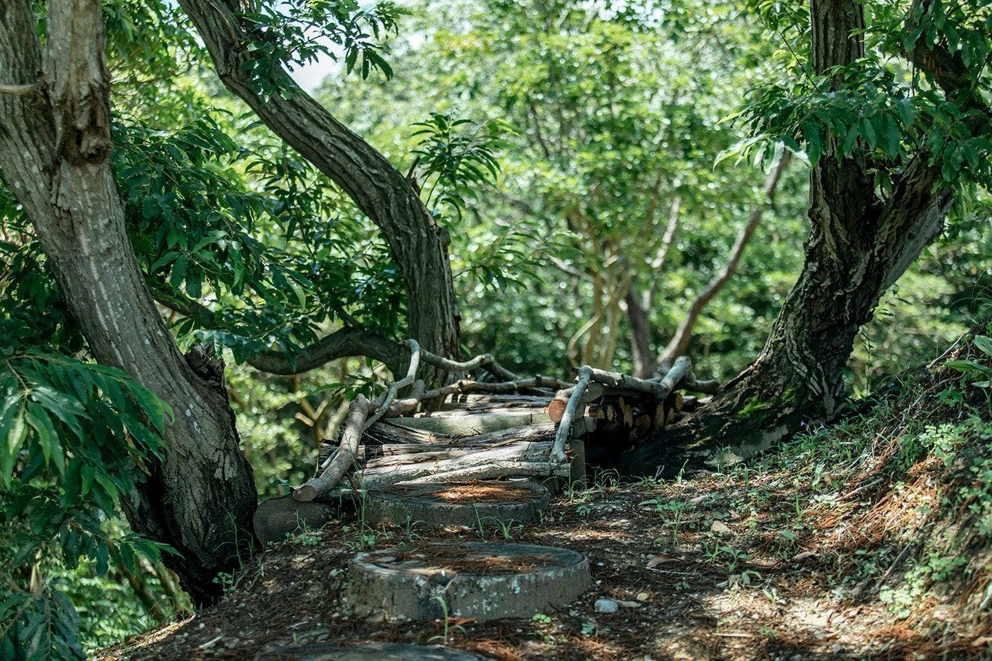 楽遊山荘