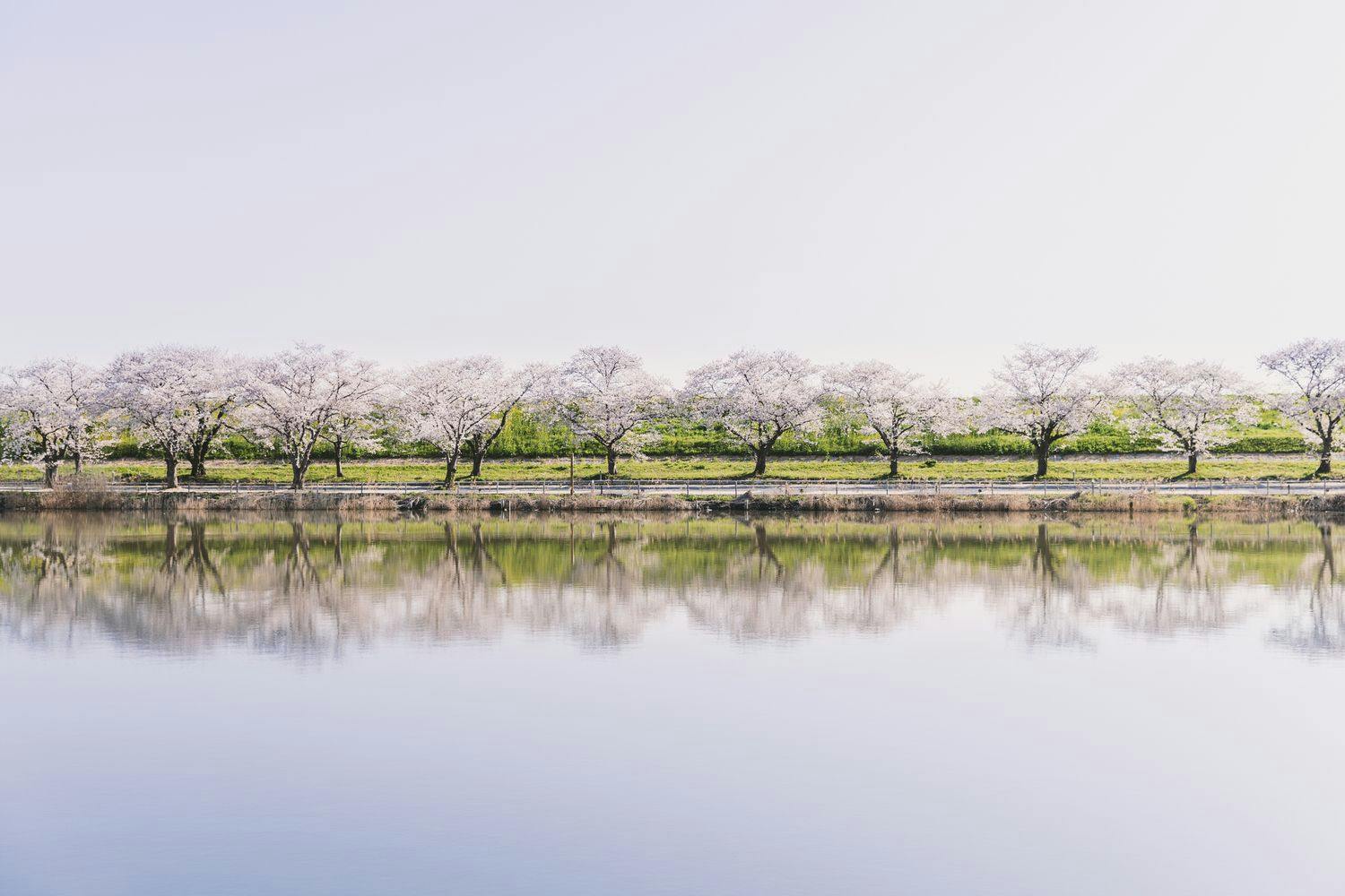 Earthboat Saitama Kawajima
