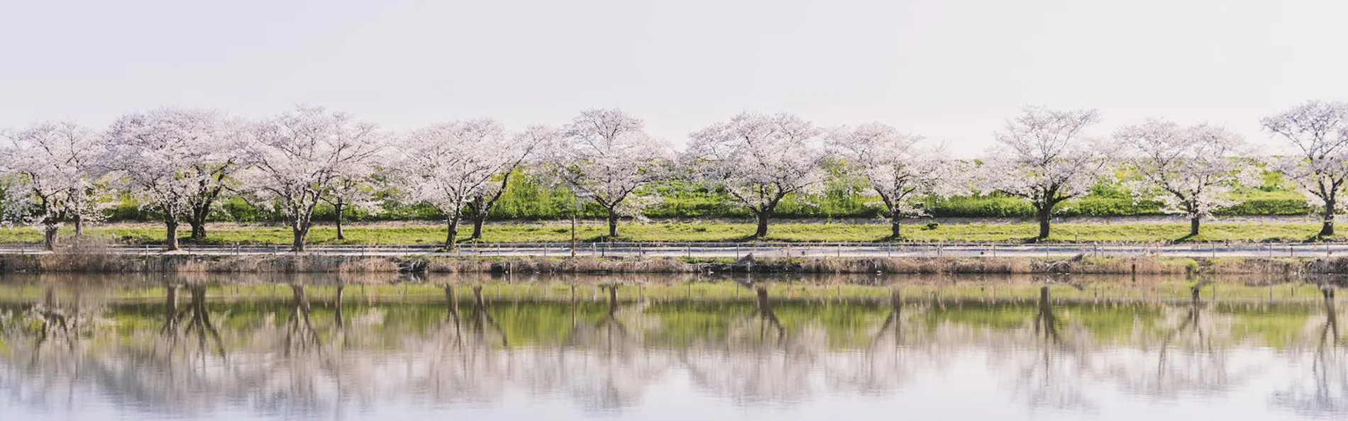 Earthboat Saitama Kawajima