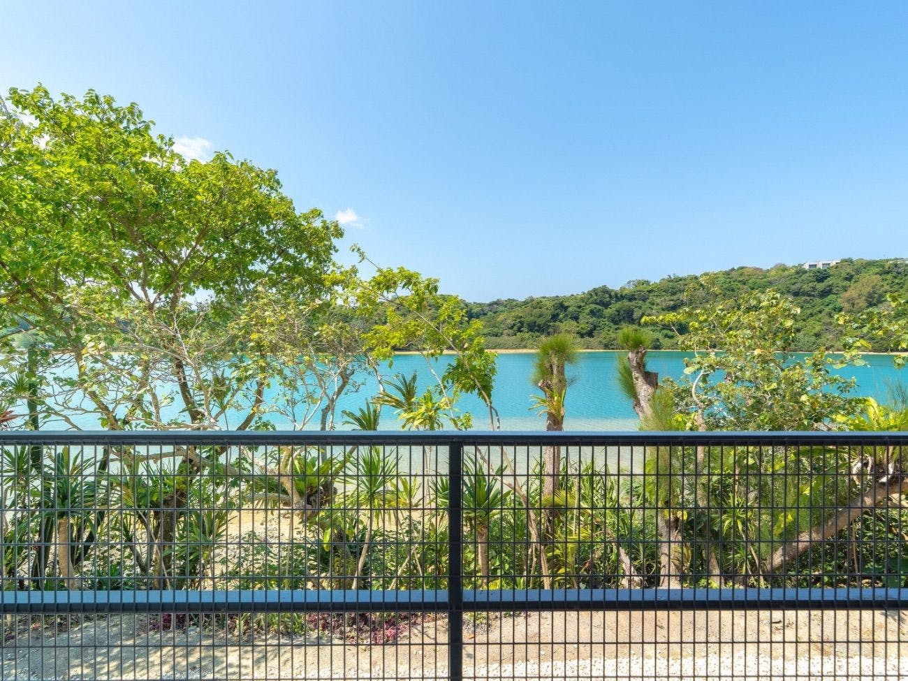 GABU COVE