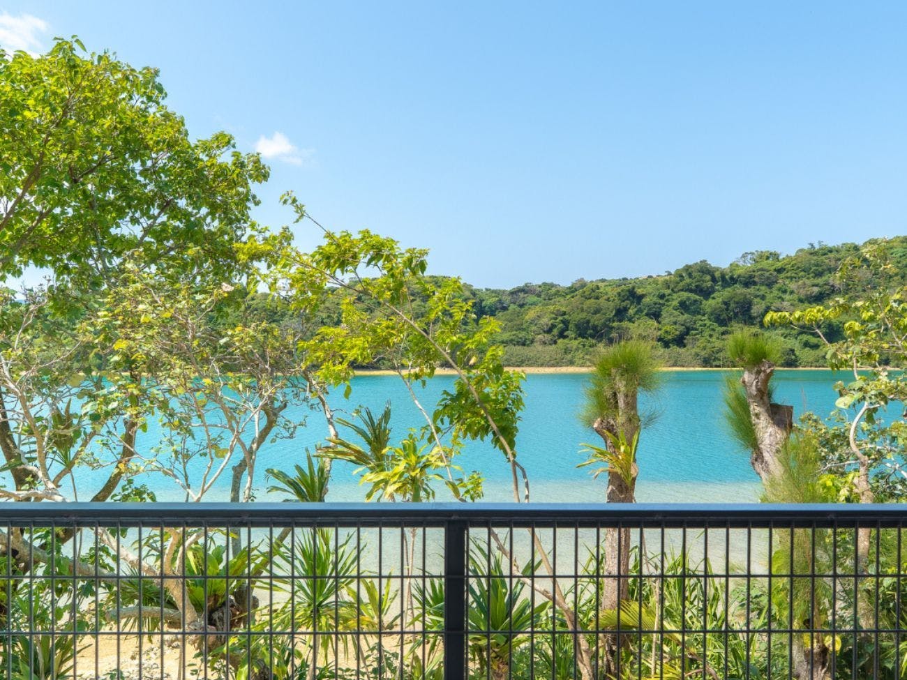 GABU COVE