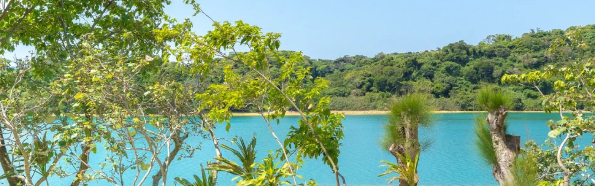 GABU COVE