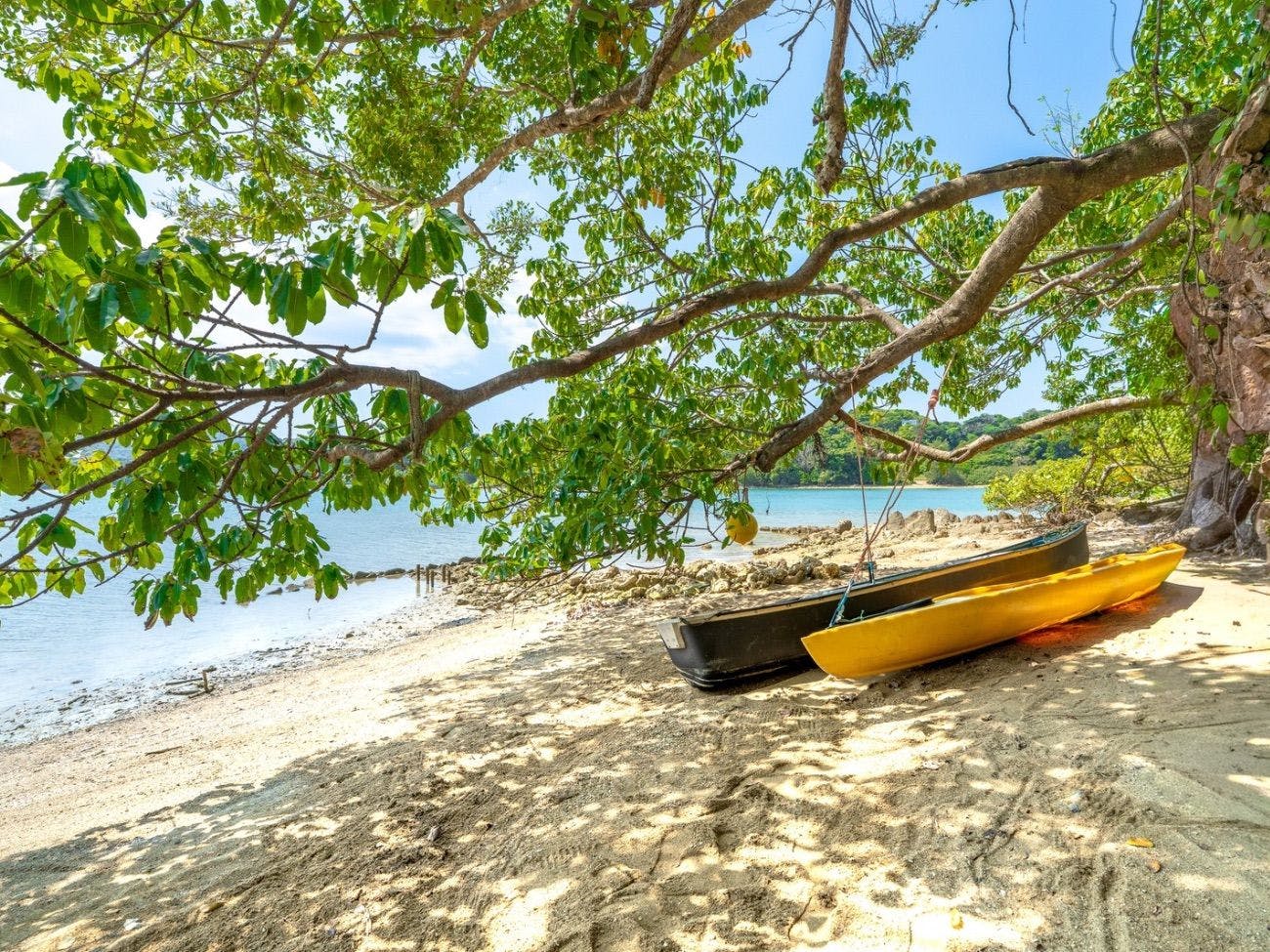 GABU COVE