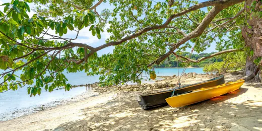 GABU COVE