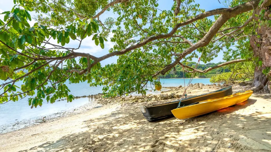 GABU COVE