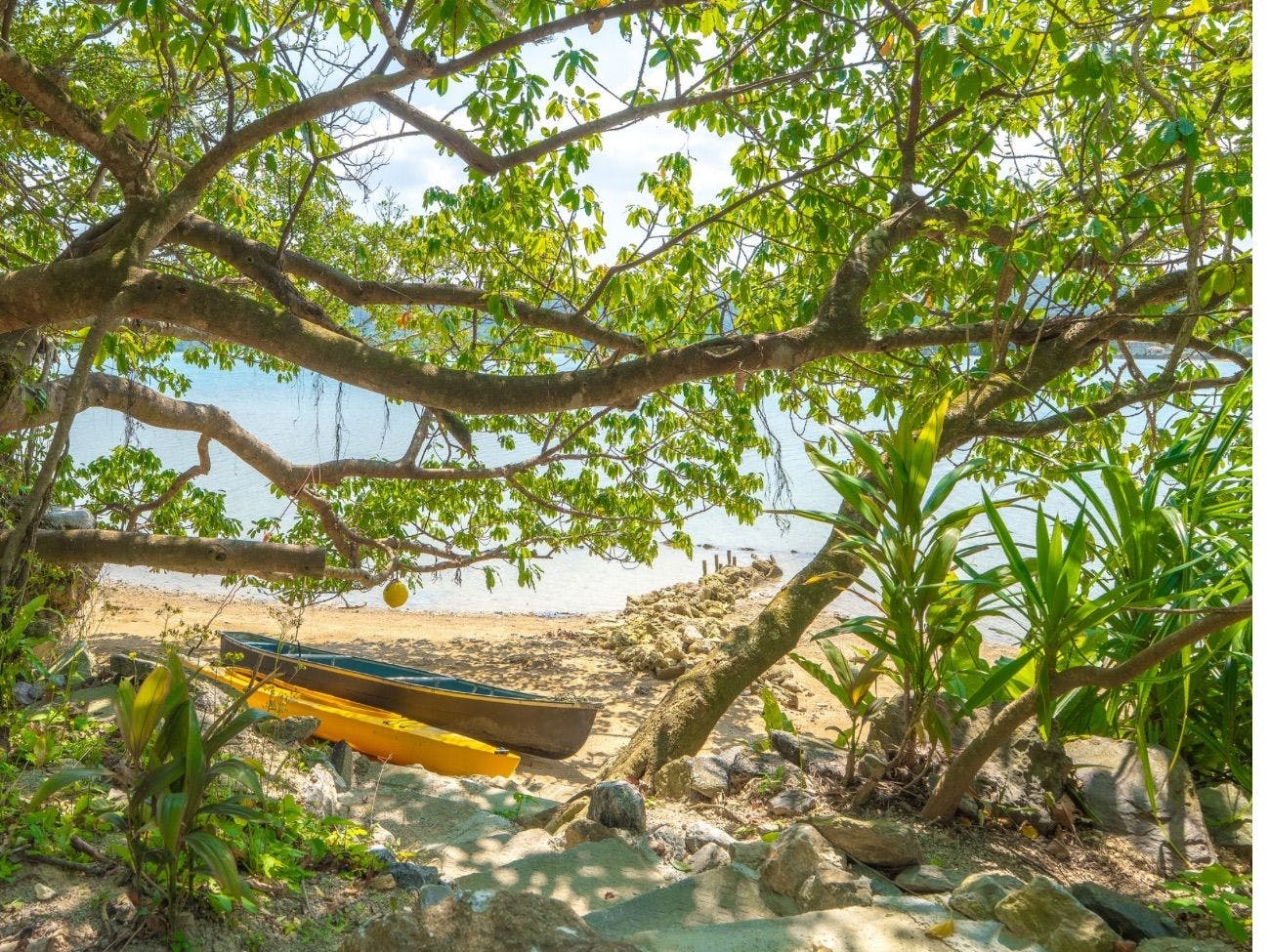 GABU COVE