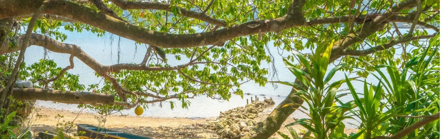GABU COVE