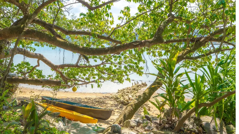 GABU COVE