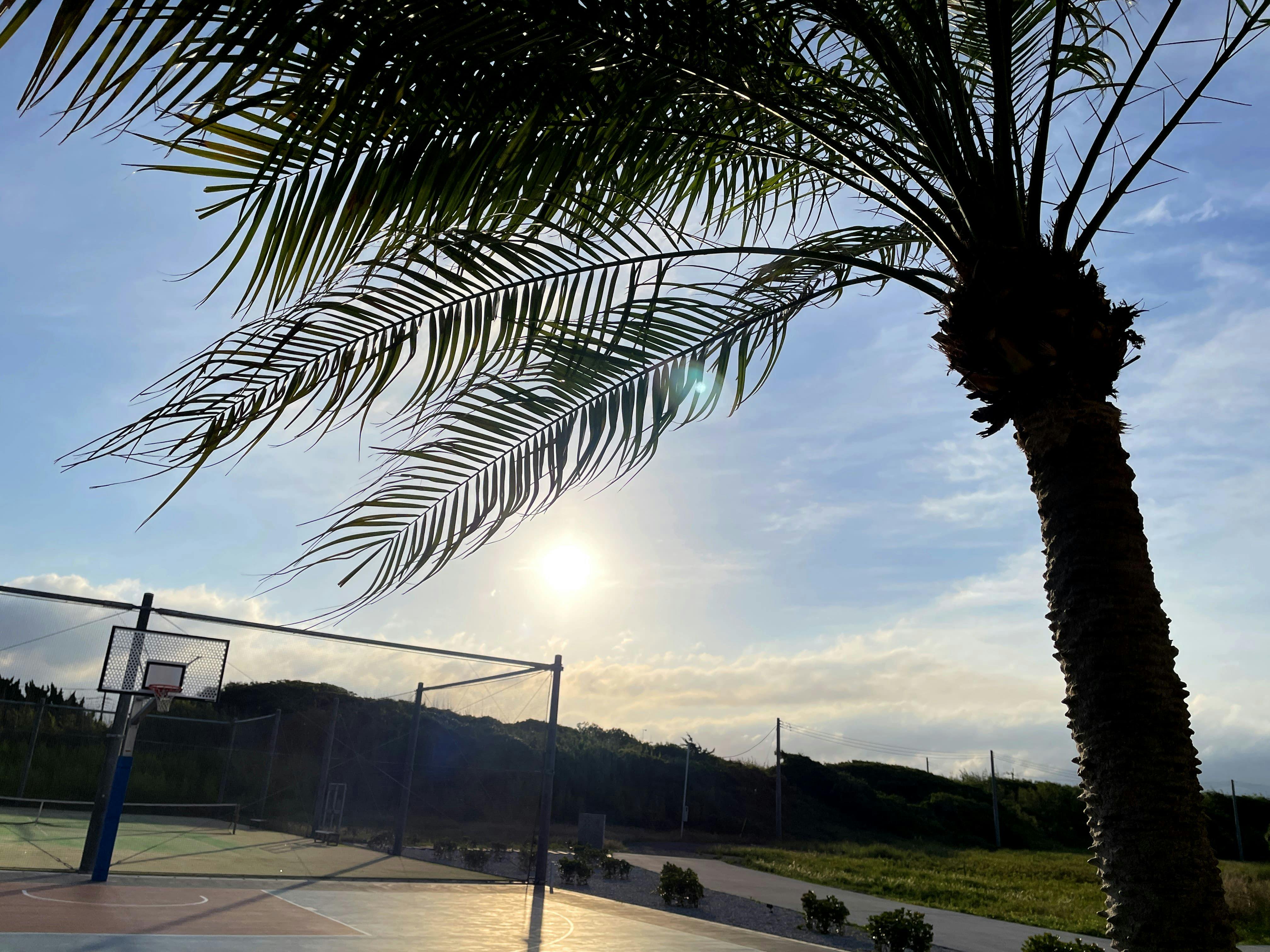 CIN GARDEN TERRACE