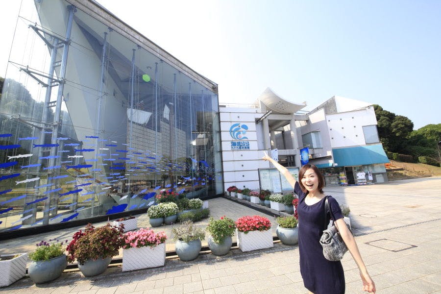 พิพิธภัณฑ์สัตว์น้ำ "Umi Kirara"