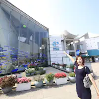 พิพิธภัณฑ์สัตว์น้ำ "Umi Kirara"