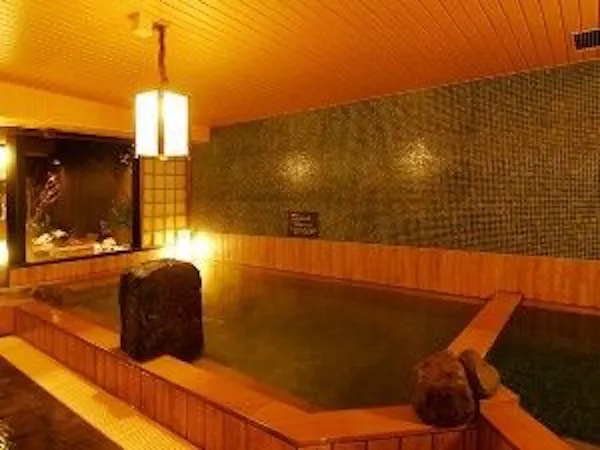 【15時イン-13時アウト】22時間ステイプラン