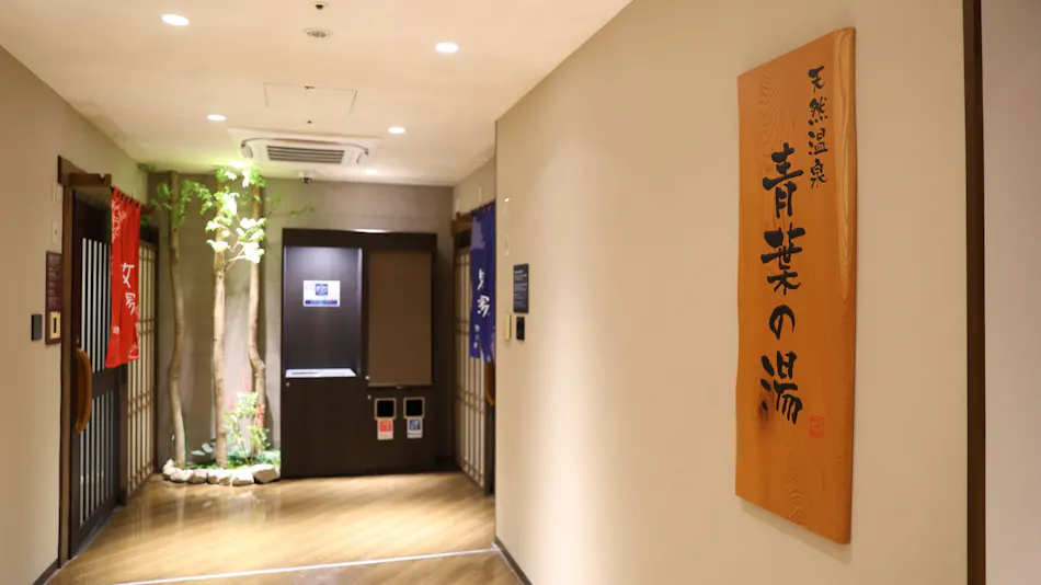 Natural Hot Spring Aoba no Yu Dormy Inn Sendai ANNEX