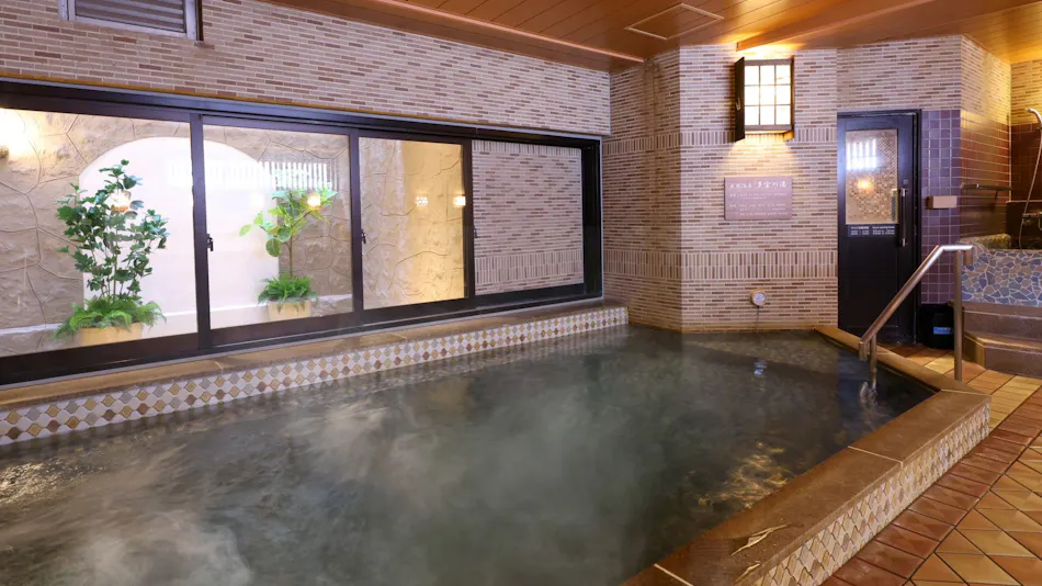 Natural Hot Spring Taho-no-Yu Dormy Inn Niigata