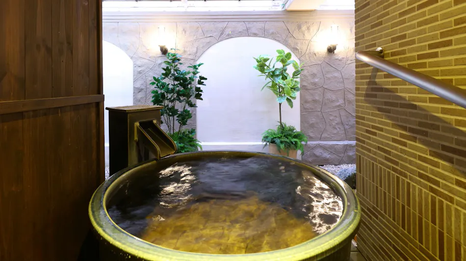 Natural Hot Spring Taho-no-Yu Dormy Inn Niigata