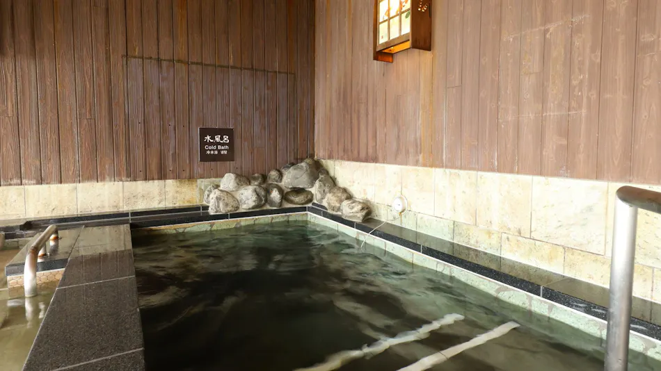 Natural Hot Spring Taho-no-Yu Dormy Inn Niigata