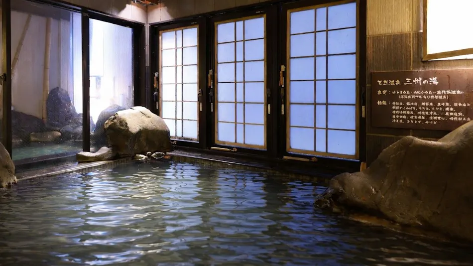 Natural Hot Spring Sanshu no Yu Dormy Inn EXPRESS Mikawa Anjo