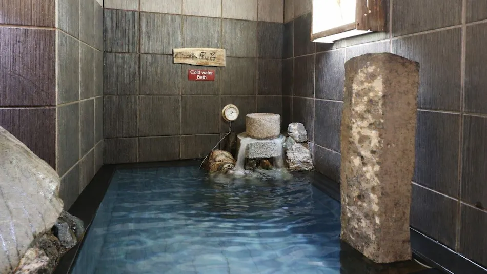 Natural Hot Spring Sanshu no Yu Dormy Inn EXPRESS Mikawa Anjo