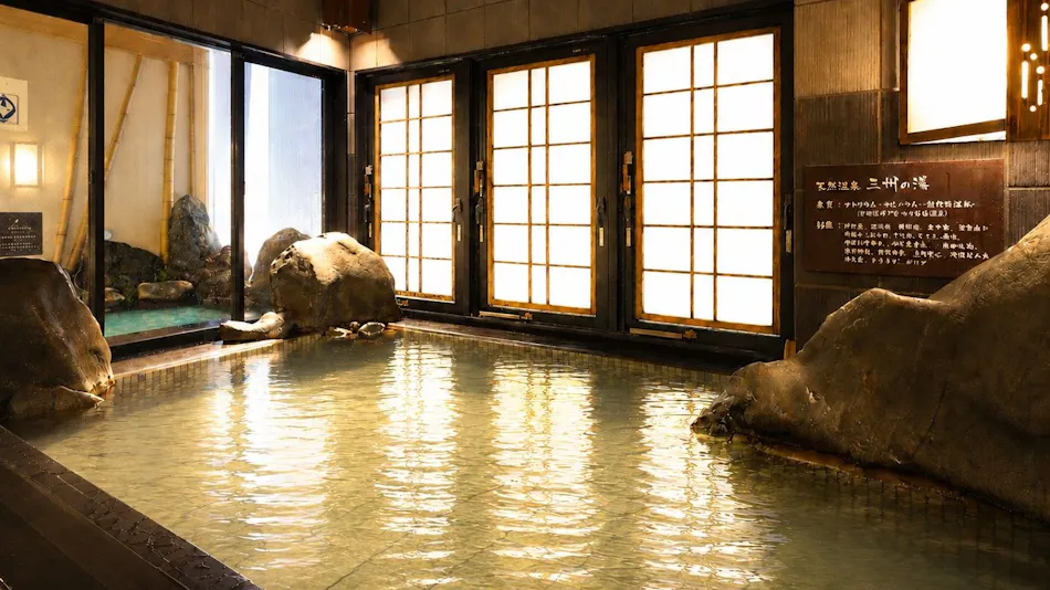 Natural Hot Spring Sanshu no Yu Dormy Inn EXPRESS Mikawa Anjo
