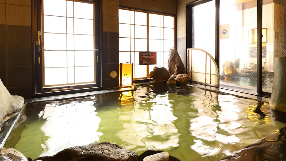 Natural Hot Spring Sanshu no Yu Dormy Inn EXPRESS Mikawa Anjo