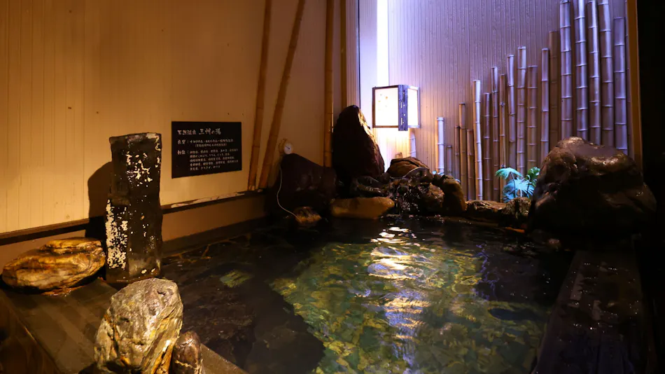 Natural Hot Spring Sanshu no Yu Dormy Inn EXPRESS Mikawa Anjo