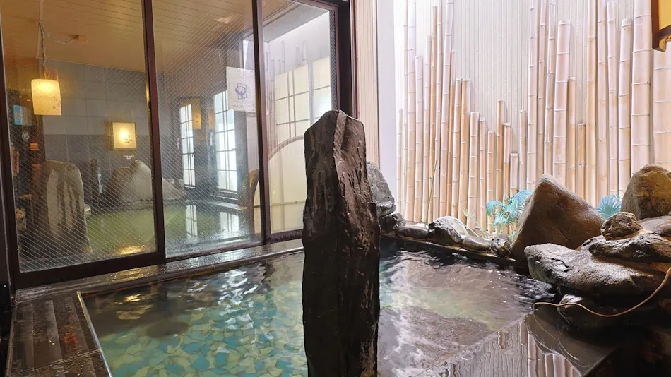 Natural Hot Spring Sanshu no Yu Dormy Inn EXPRESS Mikawa Anjo