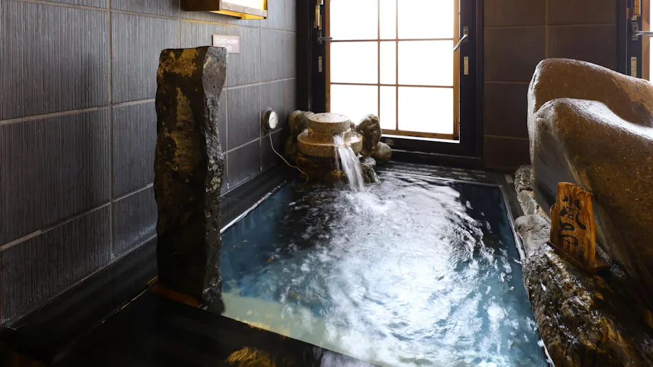 Natural Hot Spring Sanshu no Yu Dormy Inn EXPRESS Mikawa Anjo