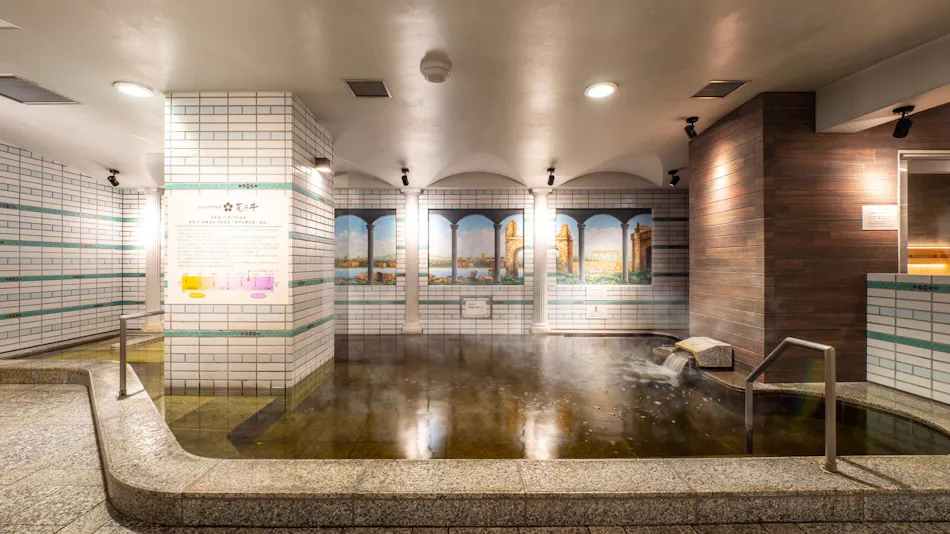Natural Hot Spring Yumoto Hananoi Super Hotel Osaka Natural Hot Spring