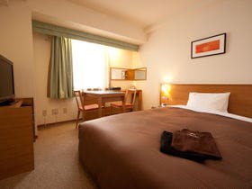 カンデオホテルズ 上野公園 （CANDEO HOTELS）